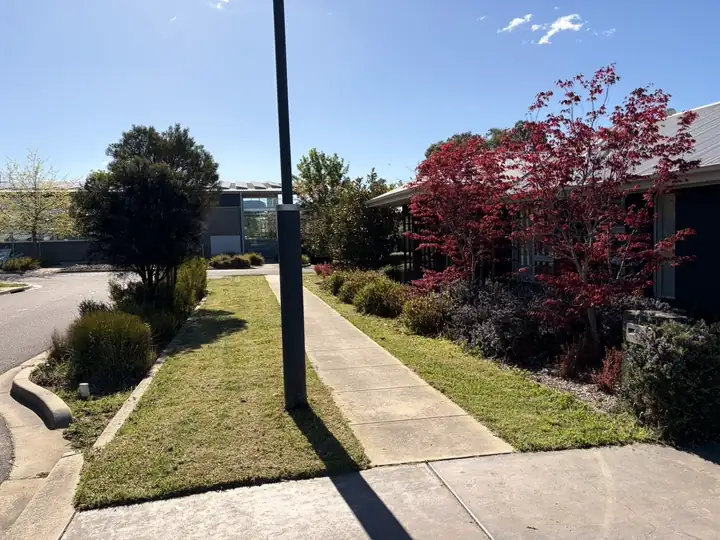 A tidy front garden with a red Japanese maple beside a house